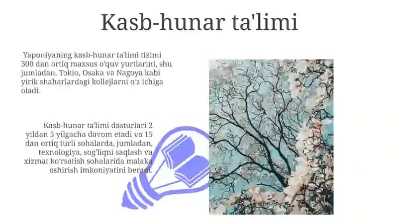 Yaponiya ta'lim tizimi 3
