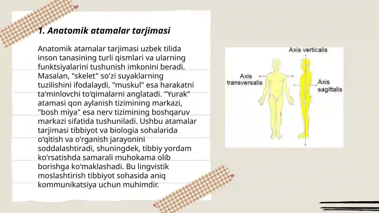 Anatomik iboralarning tarjimasi 3