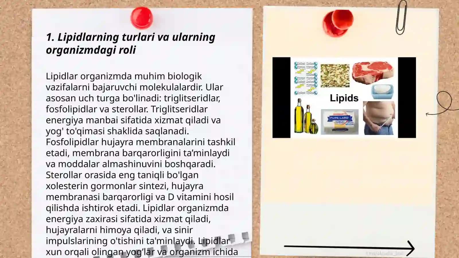 Organizmlar lipidlar almashinuvi 3