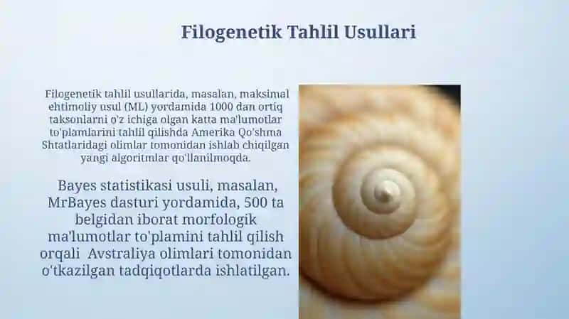 Filogenetik Tahlil Usullari 3