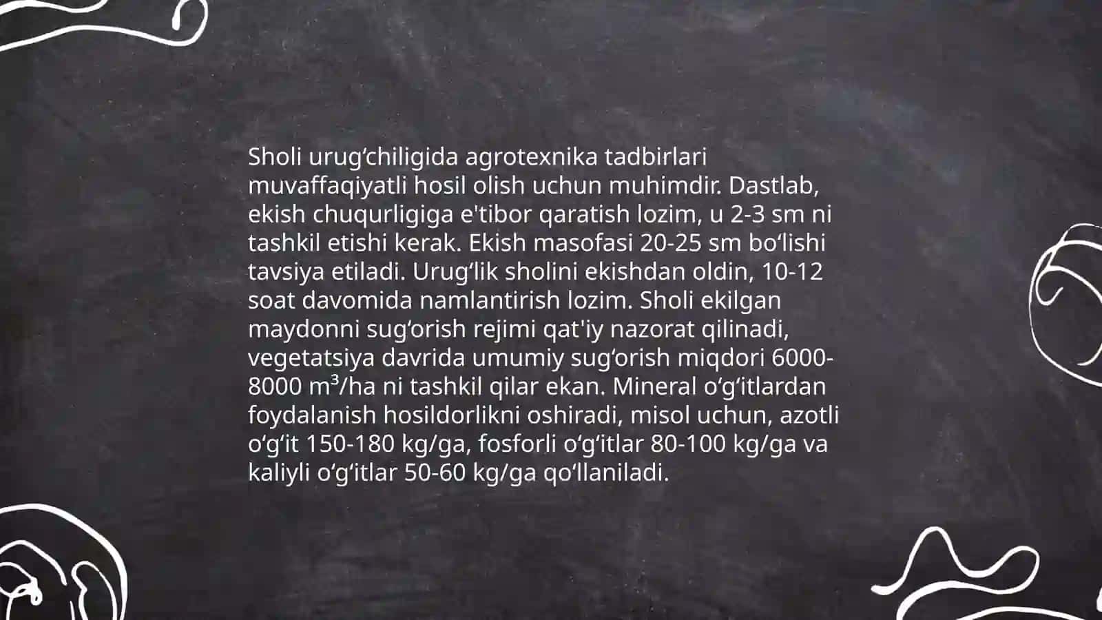 Sholi urugʻchiligi 3