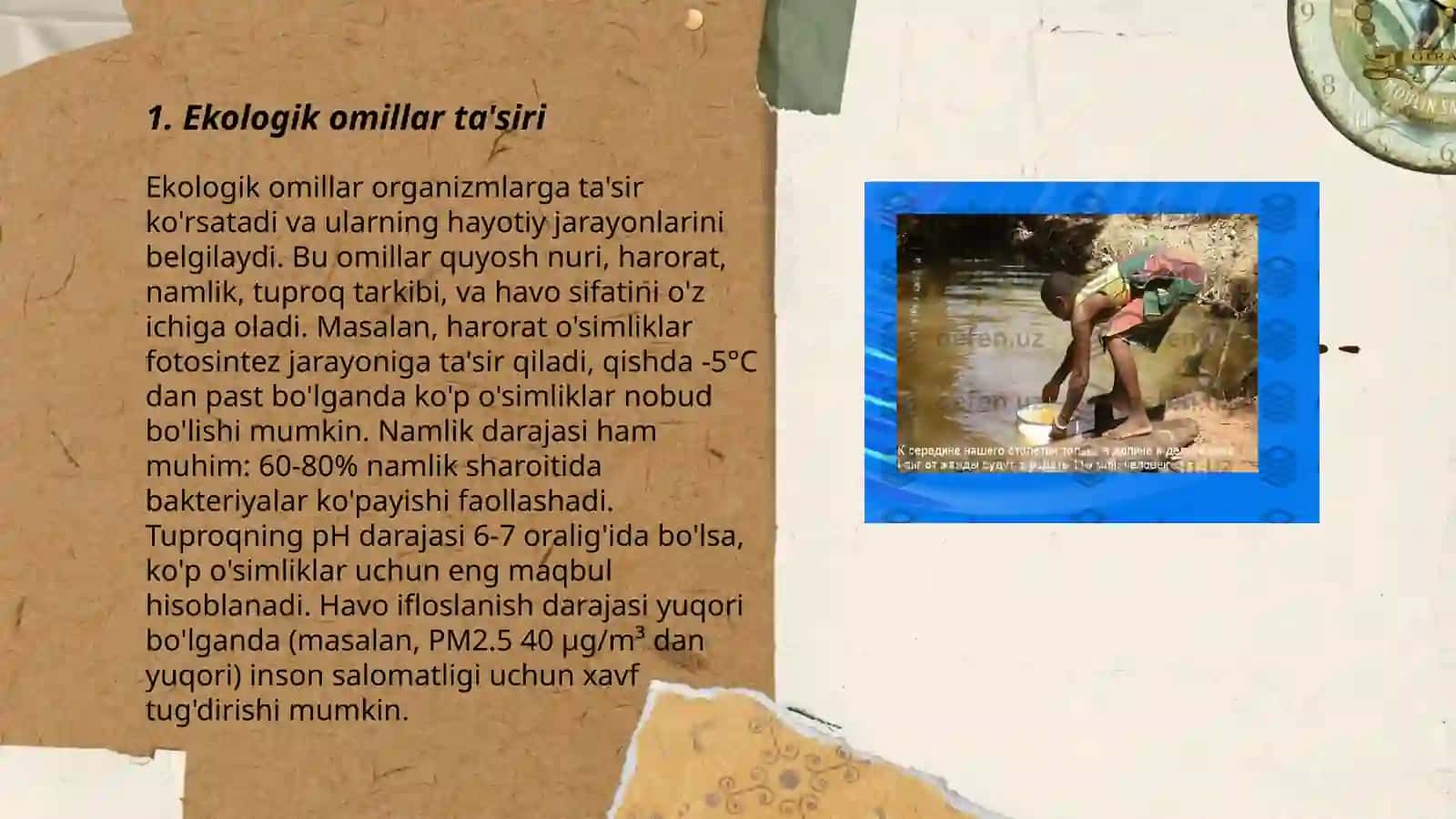 Ekologik omillar va muhit 3