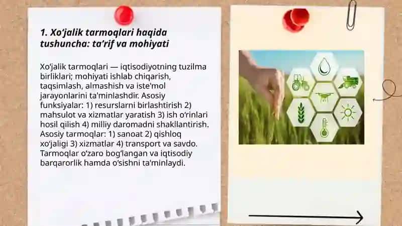 Xo‘jalik tarmoqlari haqida tushuncha 3