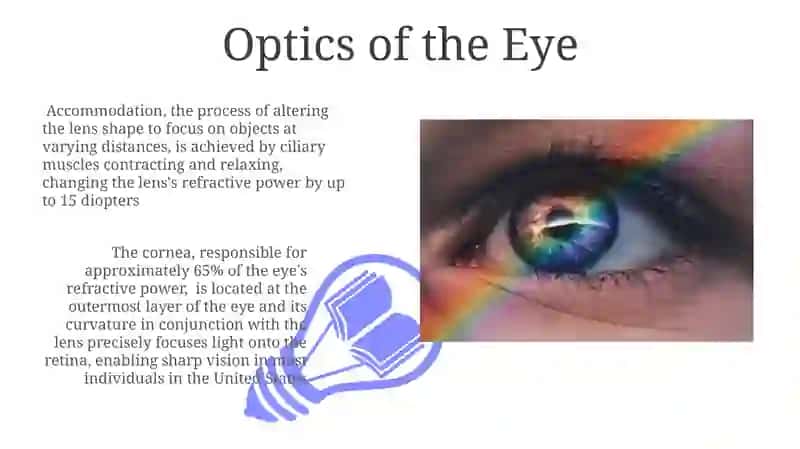 Ocular physiology 3