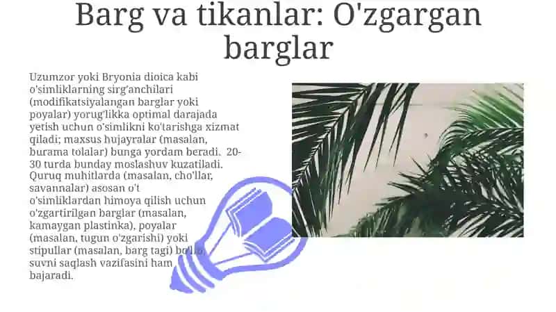 İldiz, poya, barg metamorfozi 3