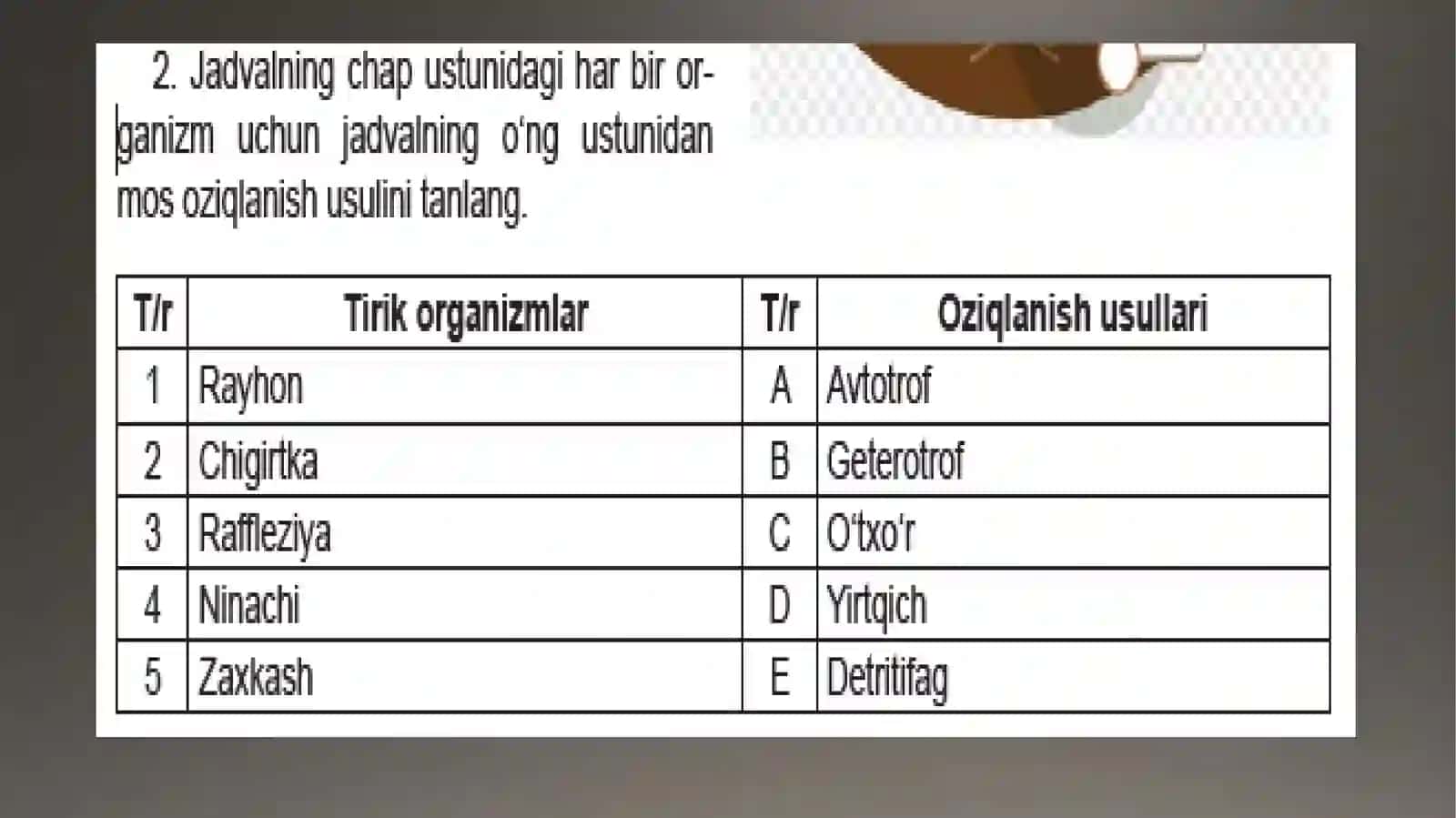 MANTIQIY FIKRLASH TOPSHIRIQLAR 3