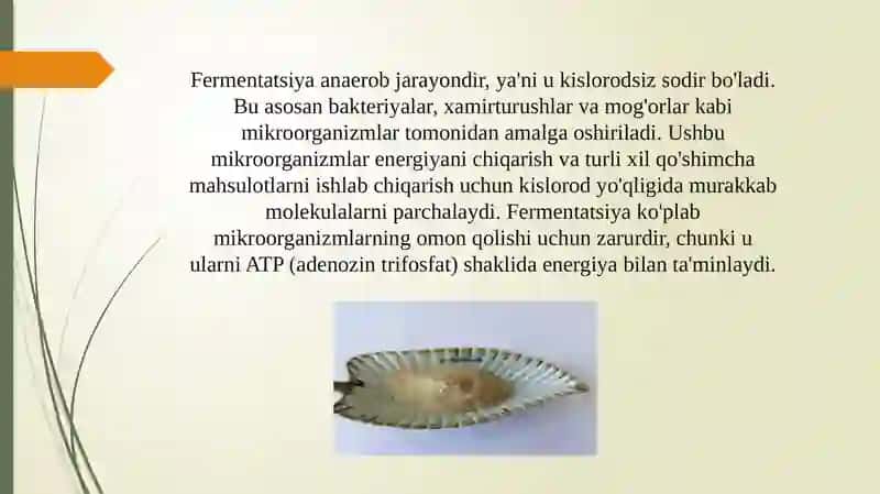 Fermentatsiya jarayonini mohiyati 3