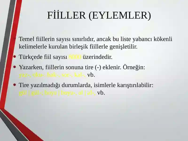 Fiiller(Eylemler) 3