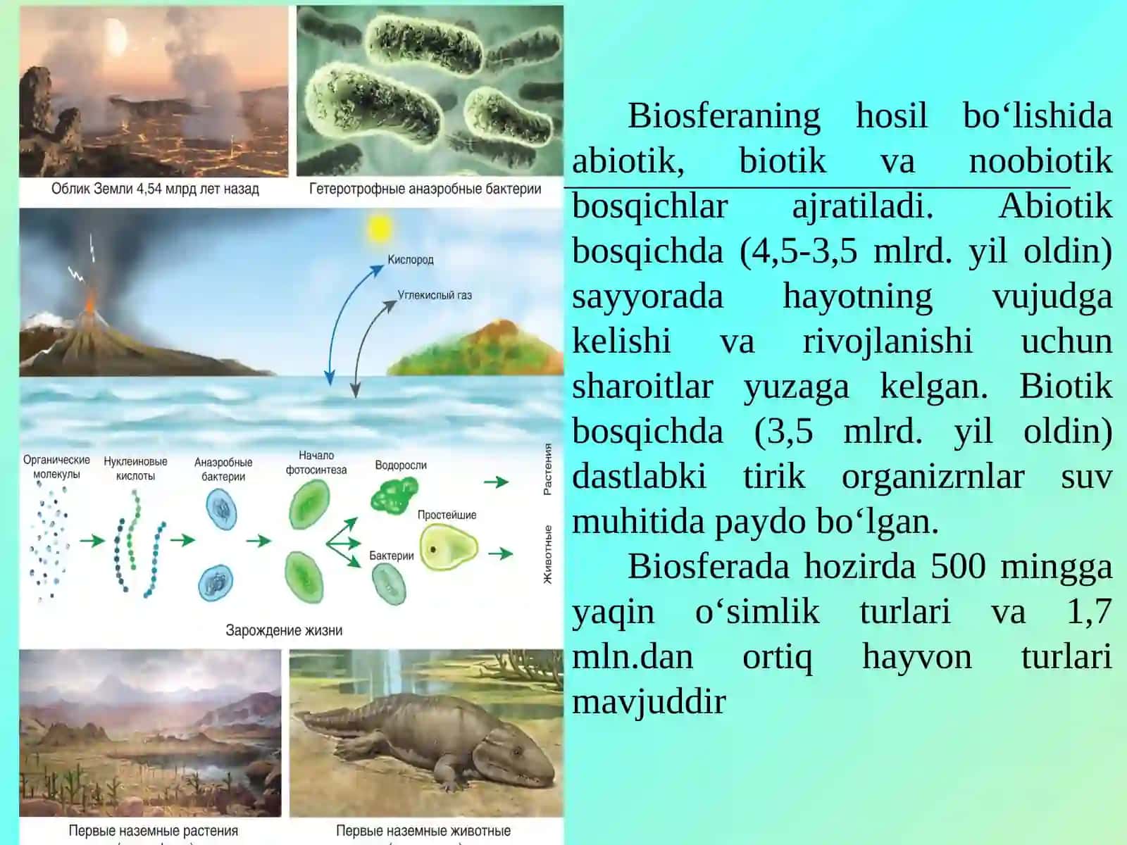 Biosfera va noosfera ta’limoti 3