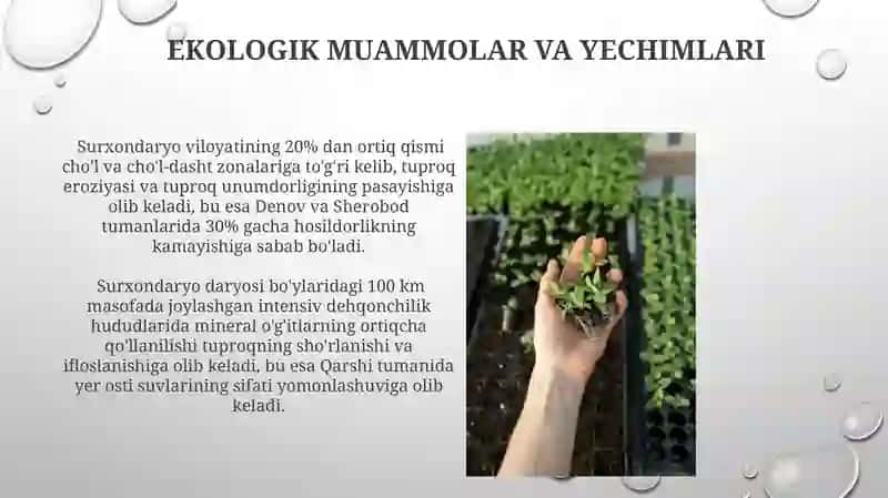 Surxandaryo tuproqlari 3