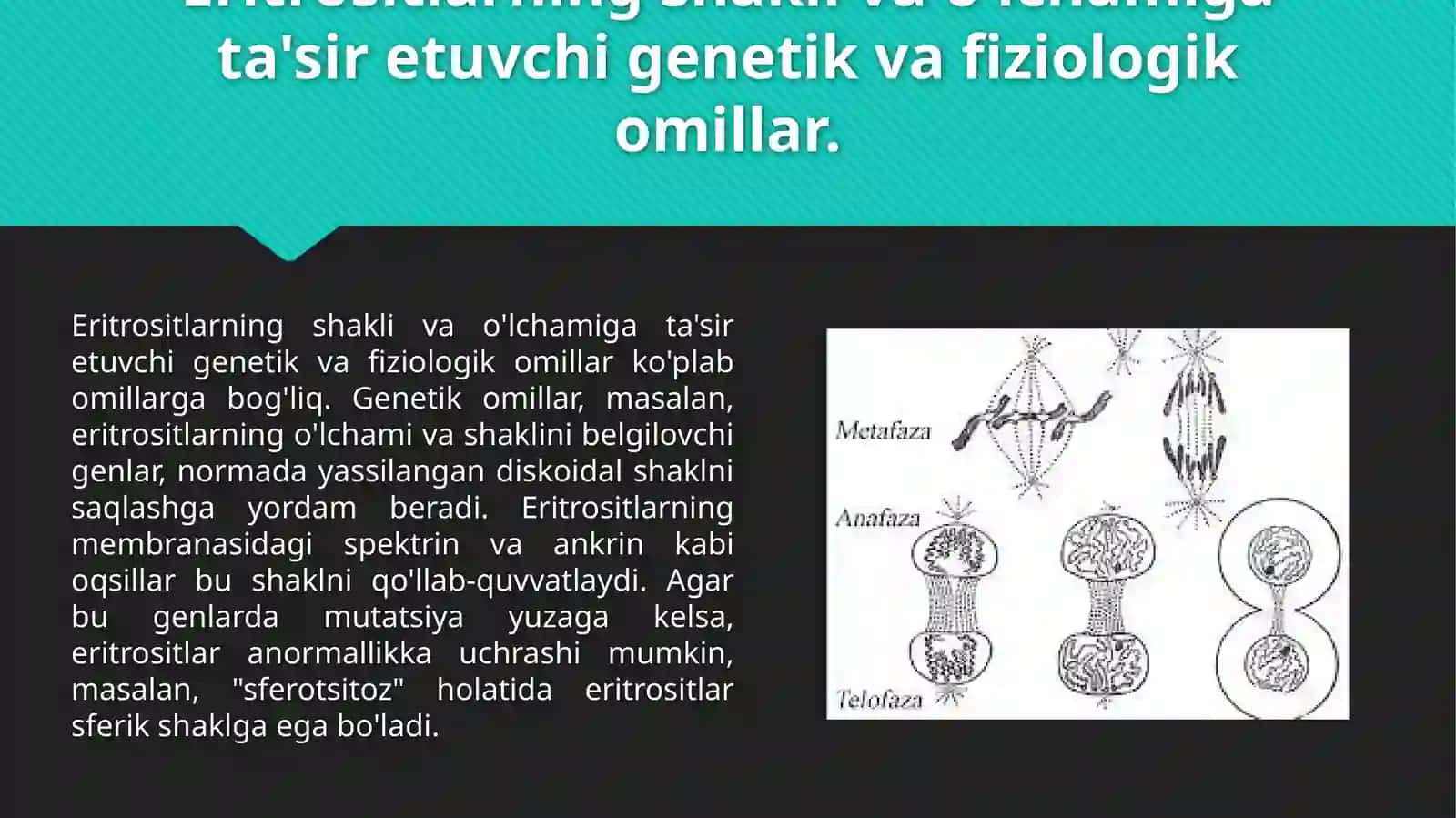 Eritrositlar gatasiretuvchi omillar 3