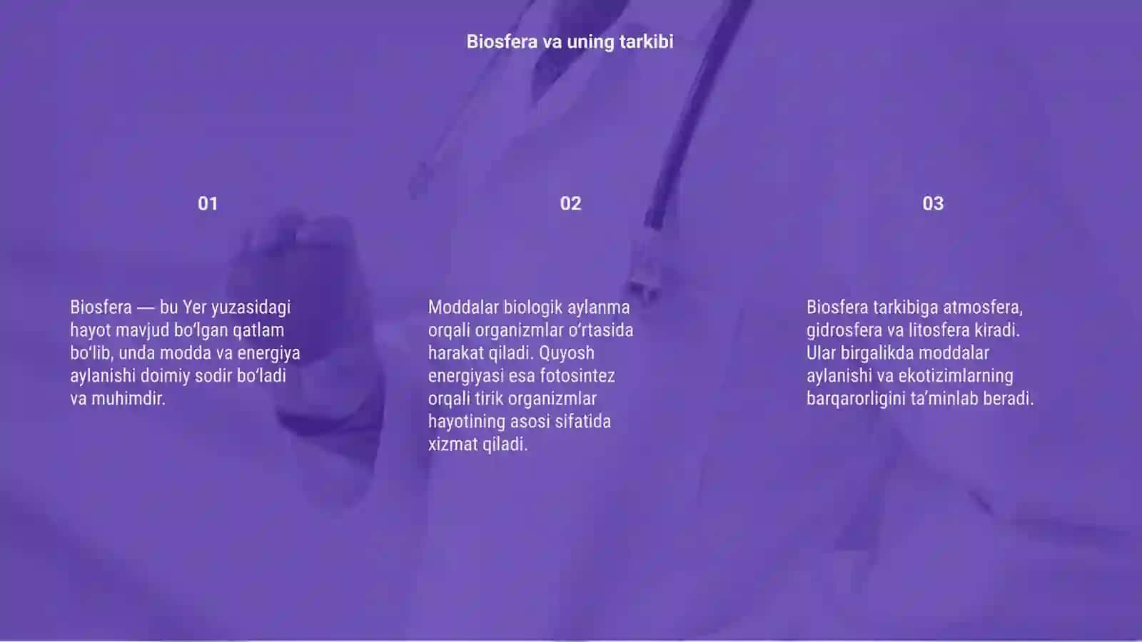 Biosferada modda va energiya aylanishi 3