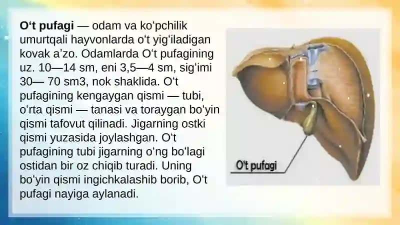 Biologiya fani 3