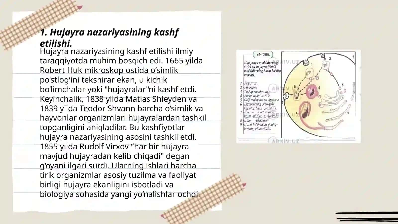 Hujayra nazariyasining yaratilish tarixi 3