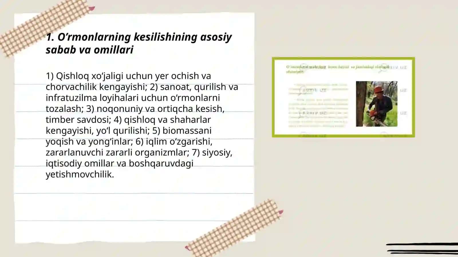 O’rmonlarning kesilishi 3