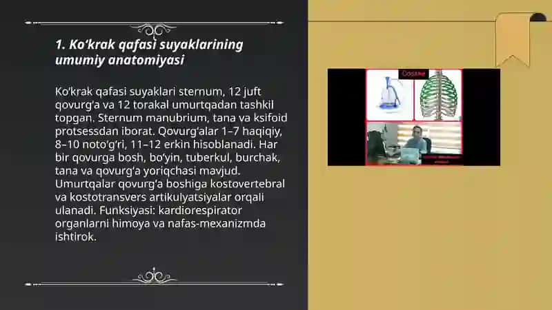 Koʻkrak qafasi suyaklari 3