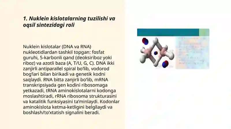 Nuklein kislotalar 3