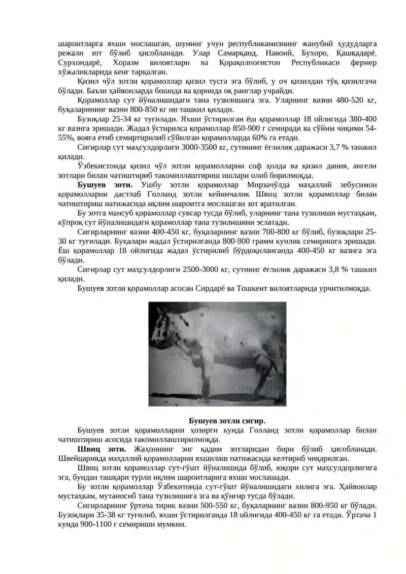 Қорамол зотлари 3