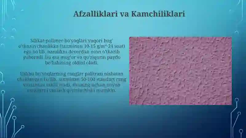 Silikat-Polimer Himoya-Dekorativ Bo`yoqlari 3