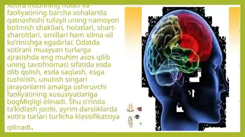 Xotira turlari klassifikatsiyasi 3