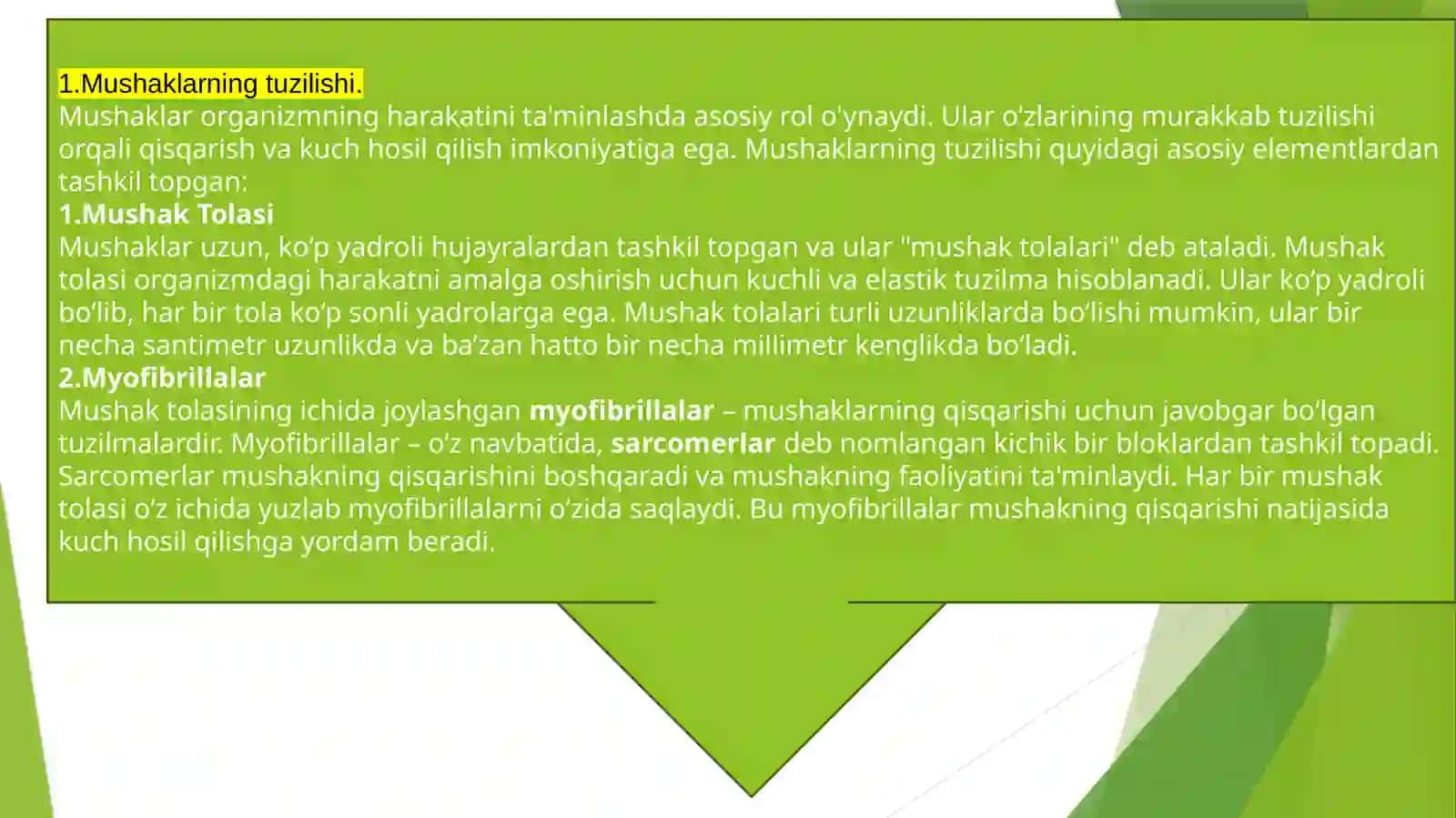 Mushaklar 3