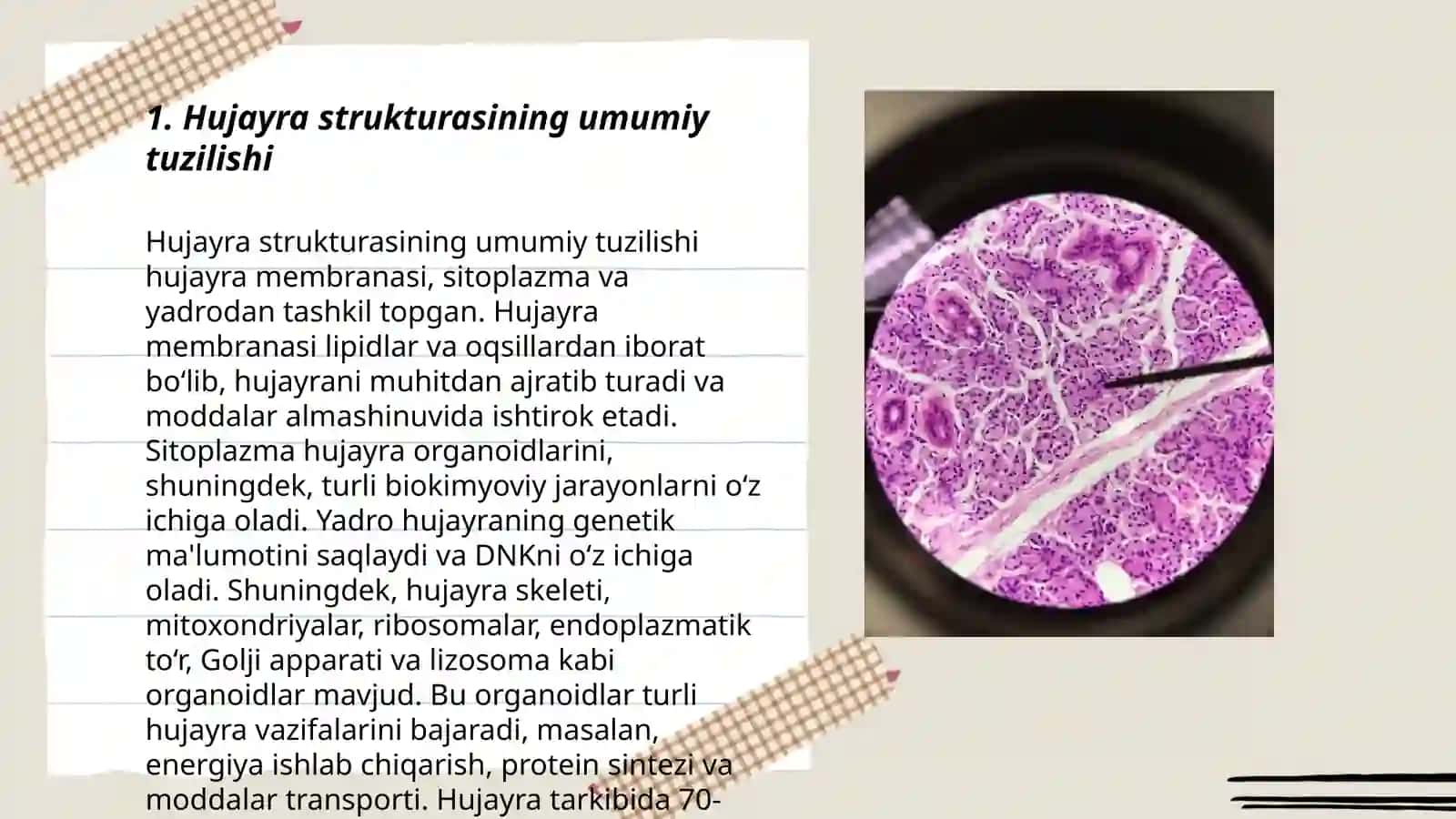 SITOLOGIYA Amonova Parvina 3