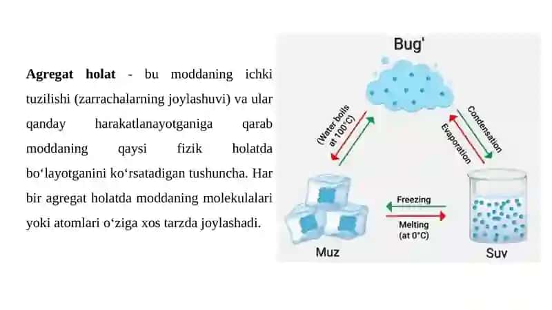 POLIMERLARNING AGREGAT HOLATLARI 3
