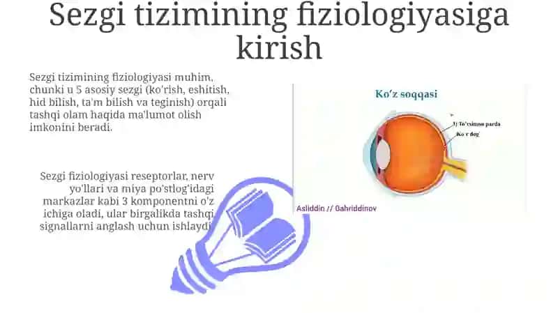 Sensor tizimi fiziologiyasi 3