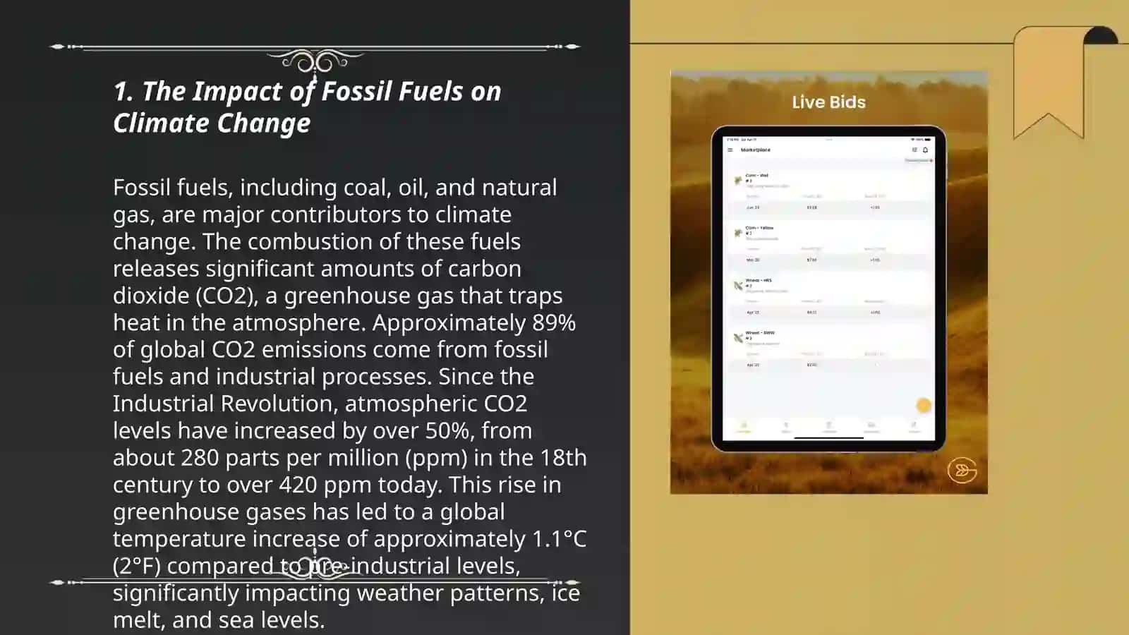 A critical view on our surroundings: climate change 3
