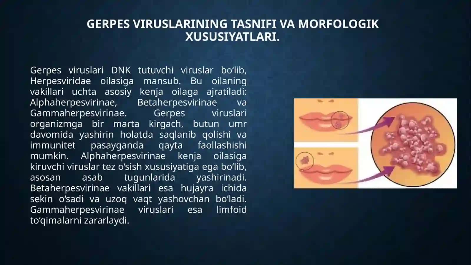 Gerpesviruslari 3