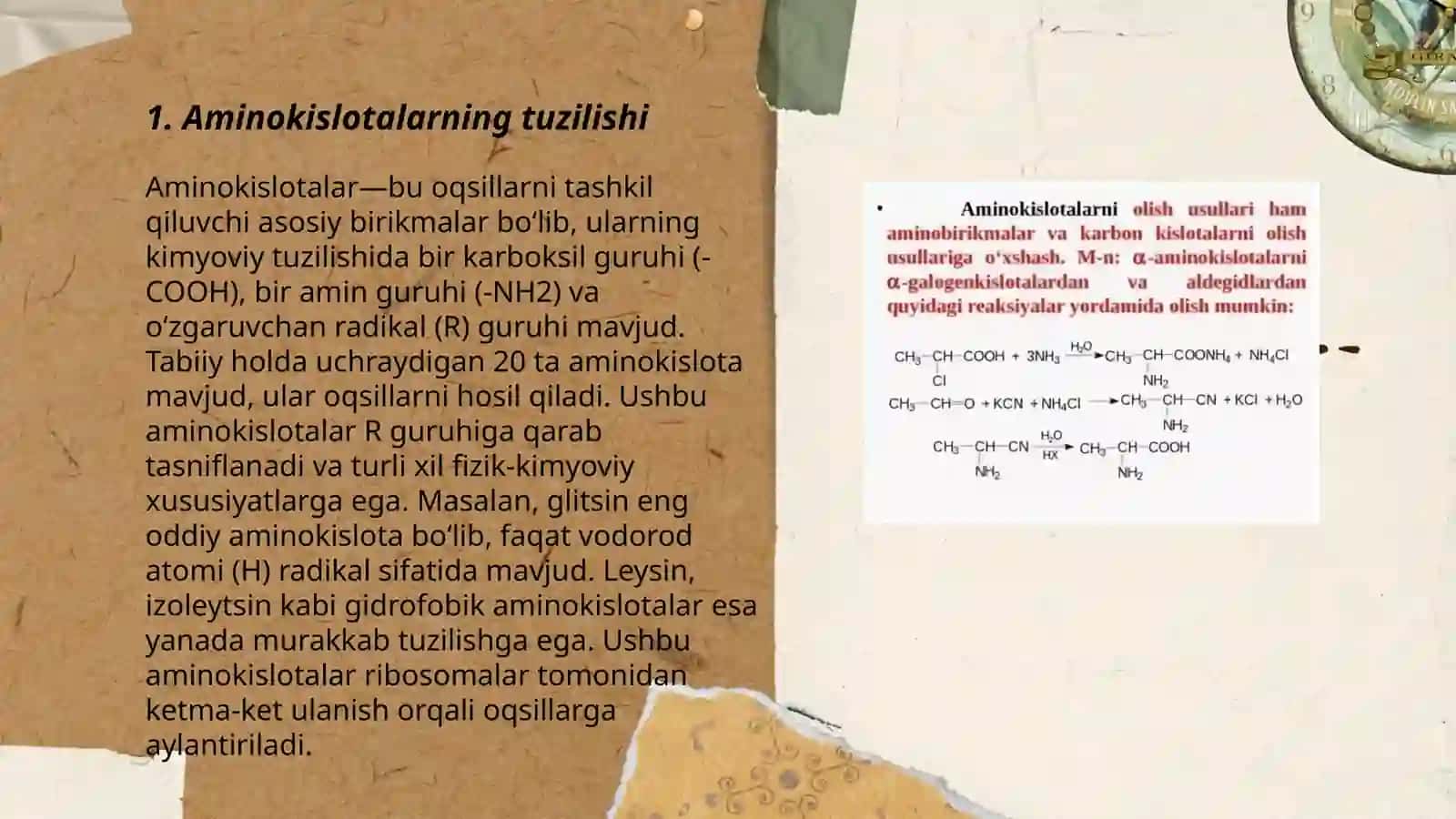 Aminokislotalar,peptidlar va oqsillar 3