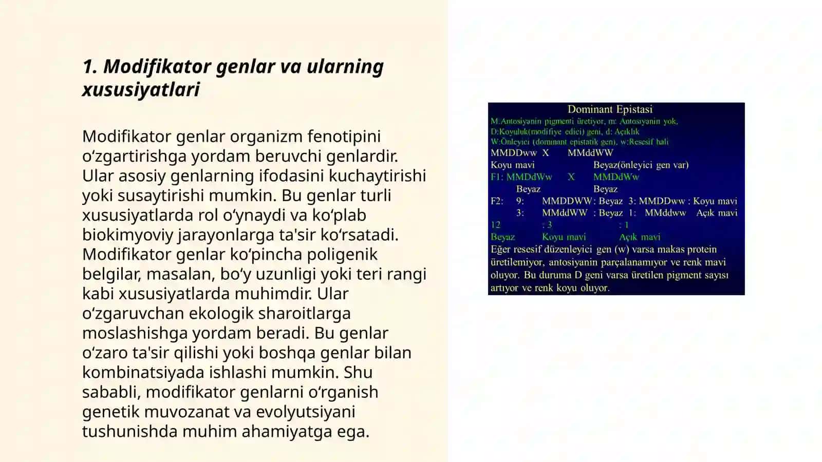 Modifikator genlar ta'siri 3