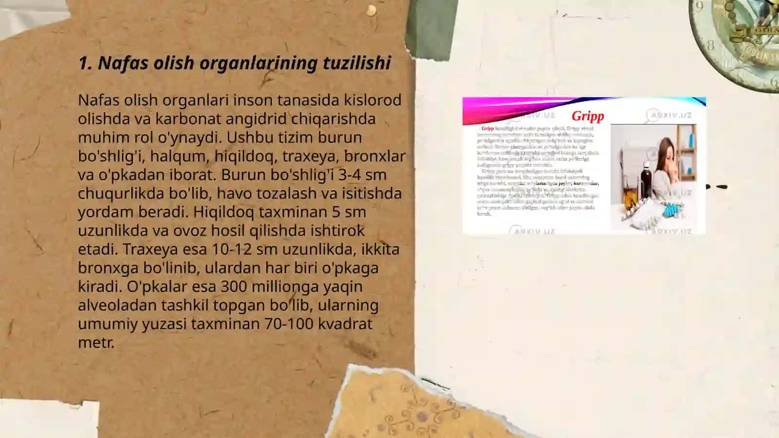 Nafas olish organlari 3