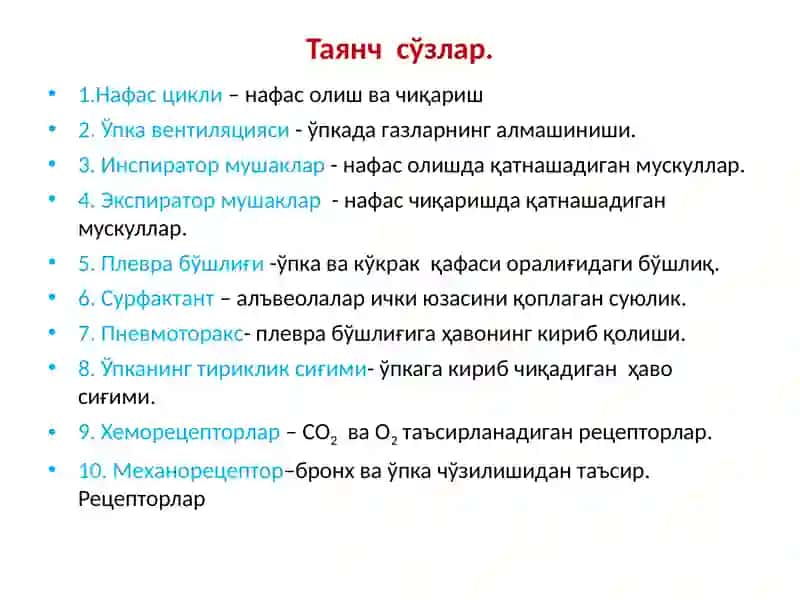 Нафас тизими физиологияси 3