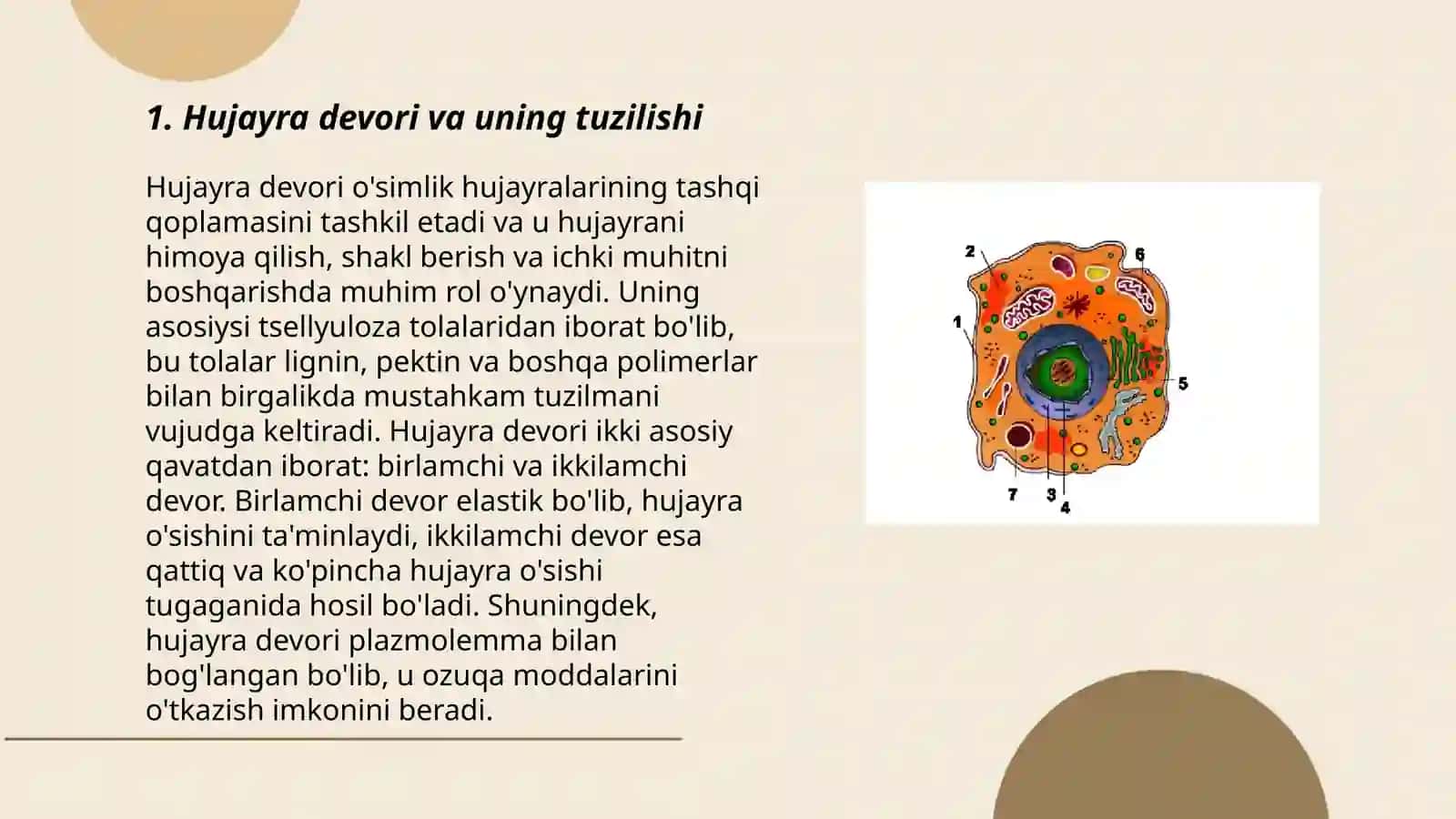 Hujayralarning konstruksiyasi 3
