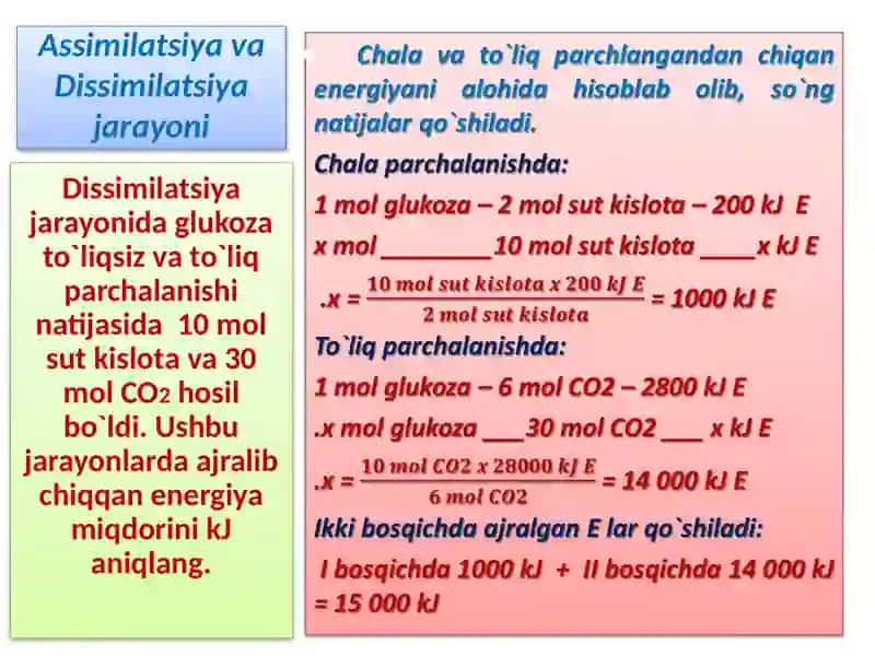 ASSIMILATSIYAVA DISSIMILATSIYAGA OID MASALA VA MISOLLAR YECHISH UCHUN TAYYORLAGAN ELEKTRONTAQDIMOT 3
