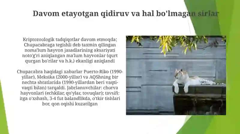 Chubakabra vaxshiy hayvon 3