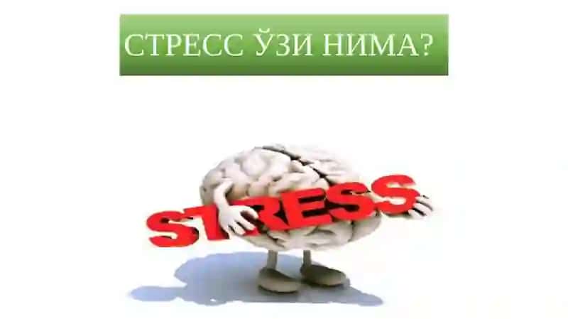 СТРЕСС ПРОФИЛАКТИКАСИ 3