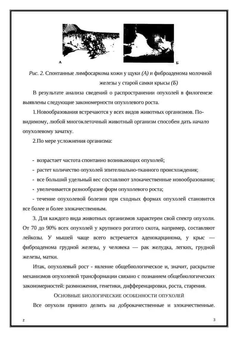 Опухоль и онкология 3