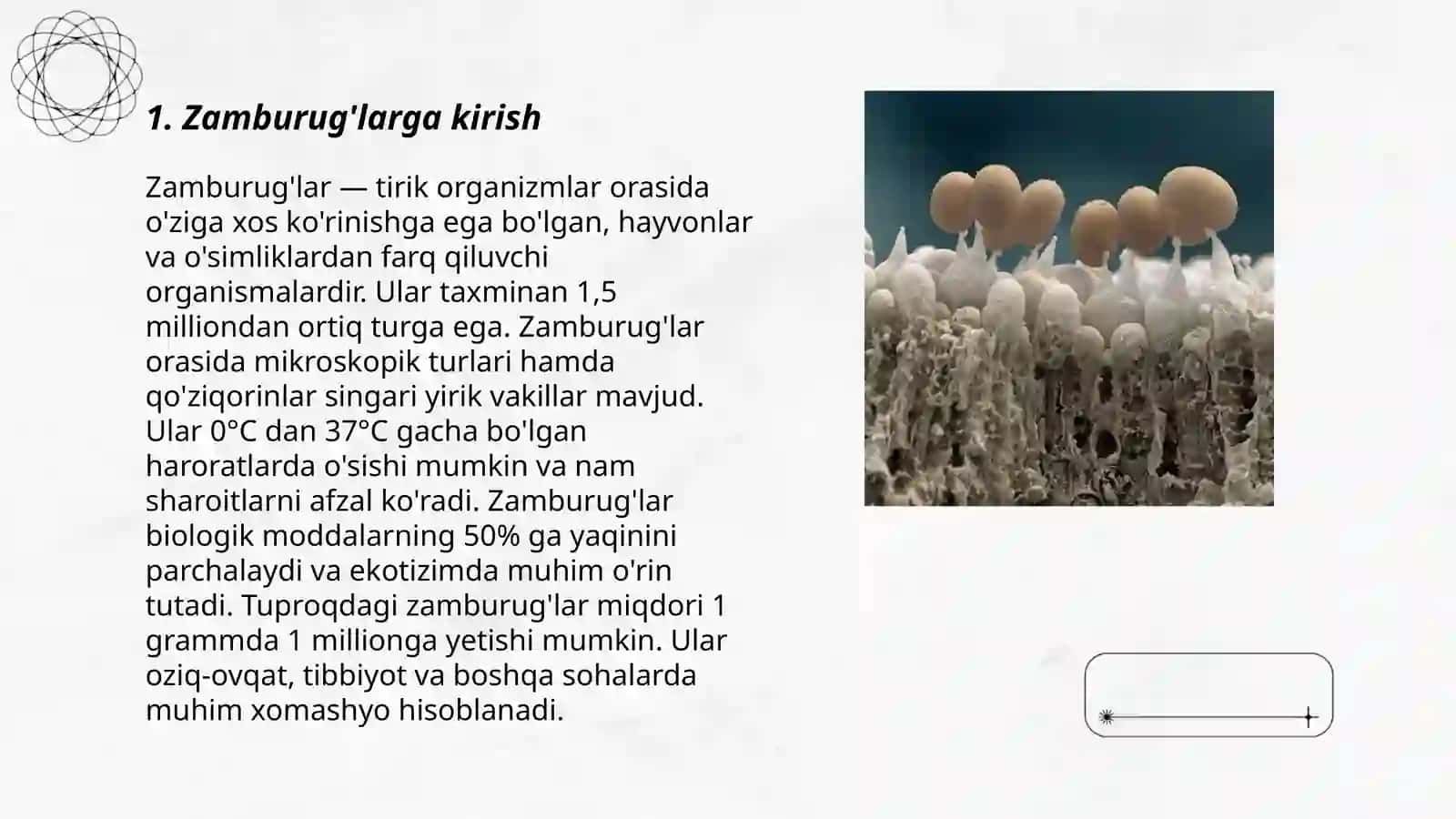 Zamburuglar dunyosi 3