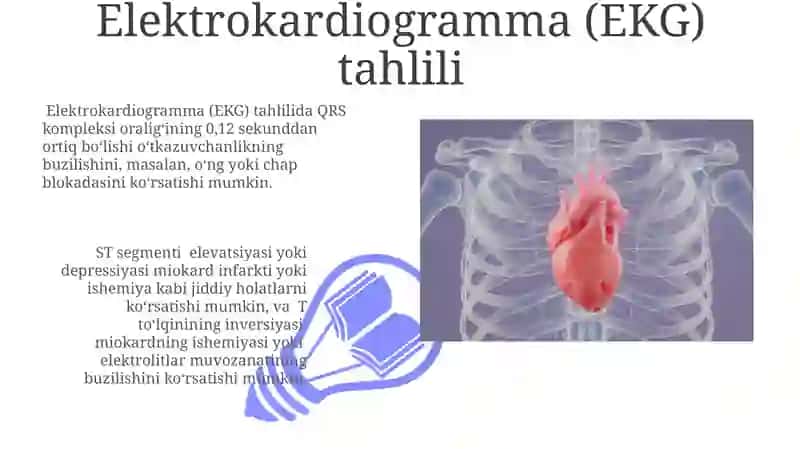 Yurakning yurak ichi ( intira kardiyal ) mexanizmlari 3