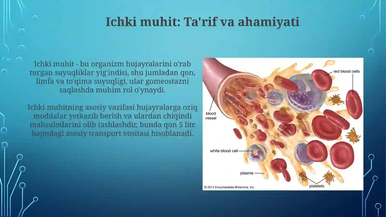 Ichkimuhittoʻqimasiqonvalimfa 3