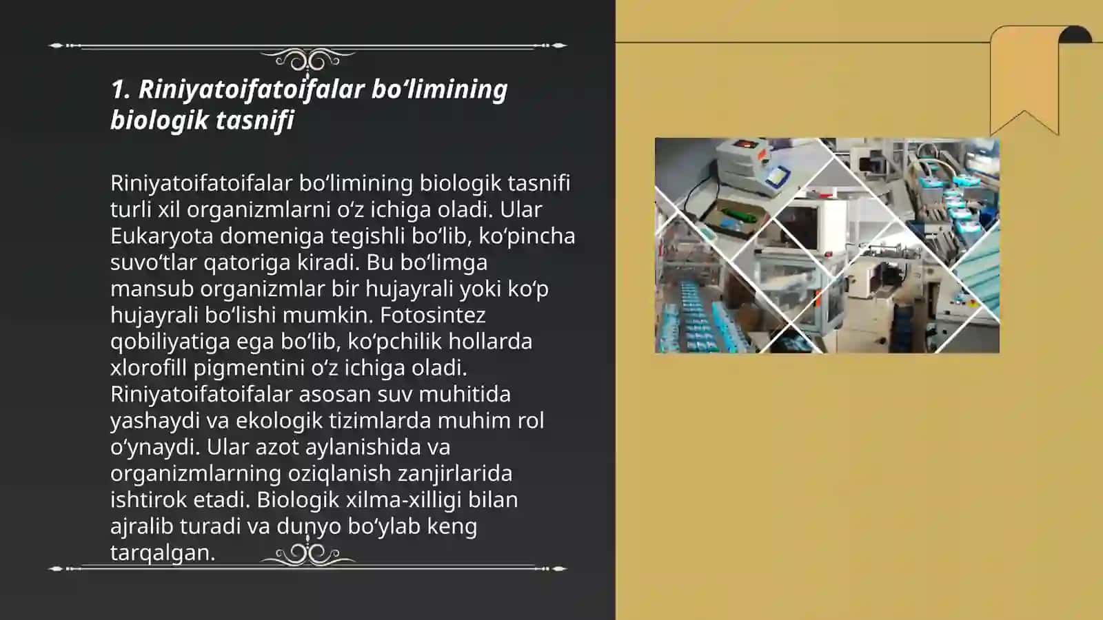 Riniyatoifatoifalar bo‘limi 3