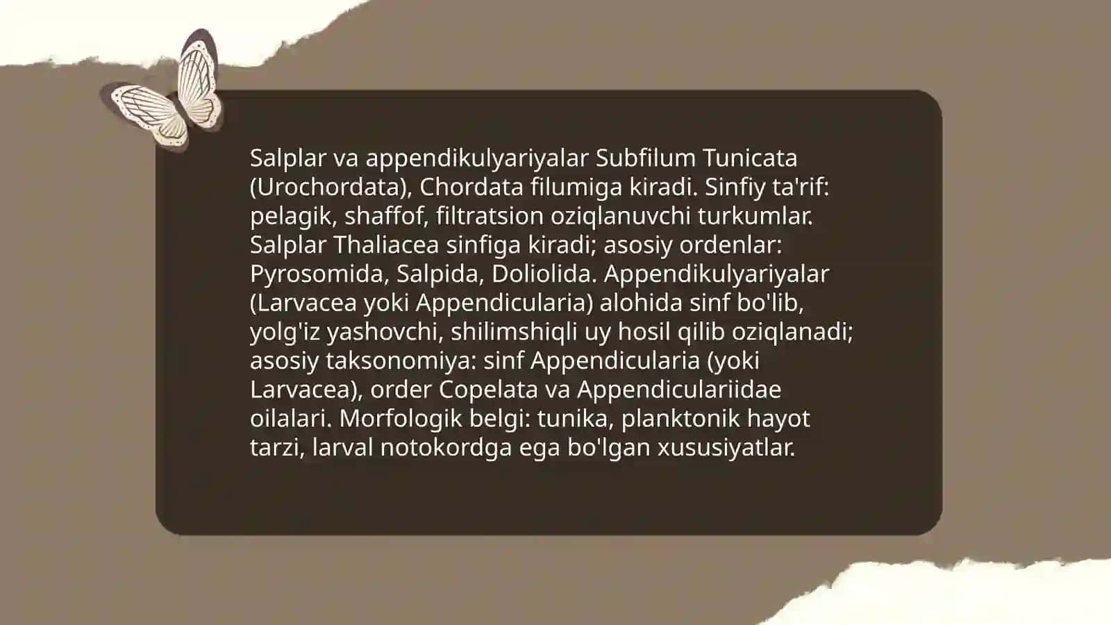 Salplar va appendikulyariyalar sinfi 3