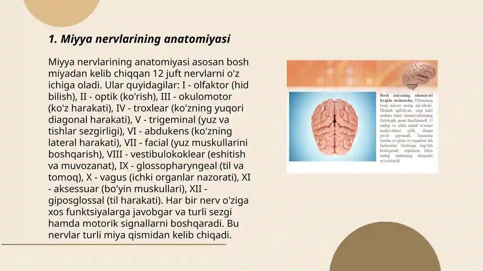 Bosh miyya nervlari 3