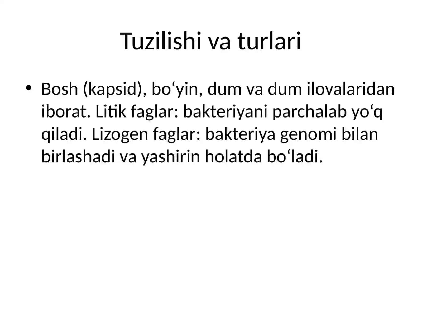 Bakteriofaglar 3