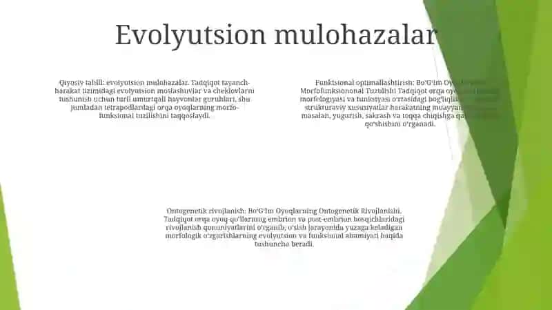BoʻGʻIm Oyoqlarning Morfofunksinonal Tuzulishi 3