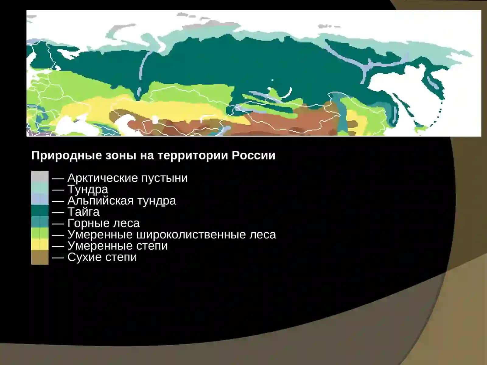 Современная Россия: цифры и факты 3