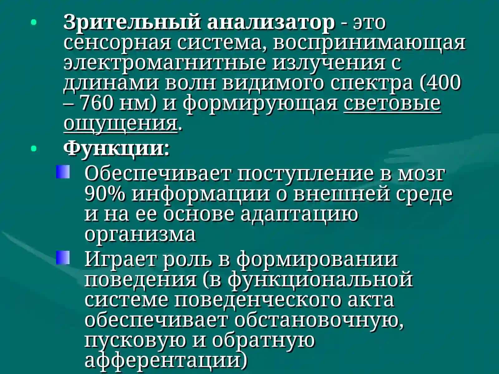 СЕНСОРНЫЕ СИСТЕМЫ 3