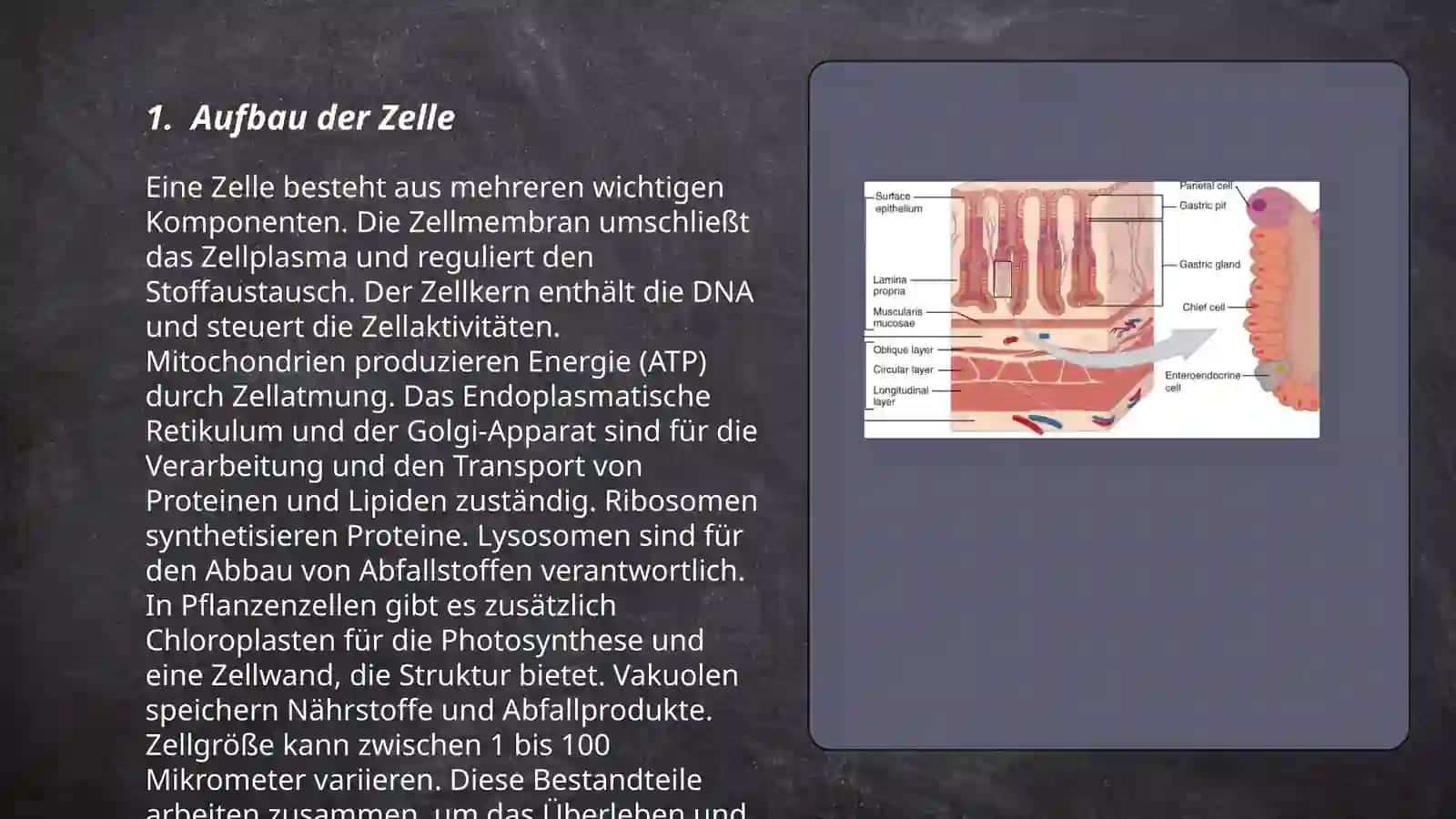 Aufbau der Zelle 3